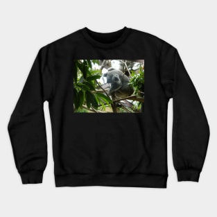 sleep as Koala Crewneck Sweatshirt